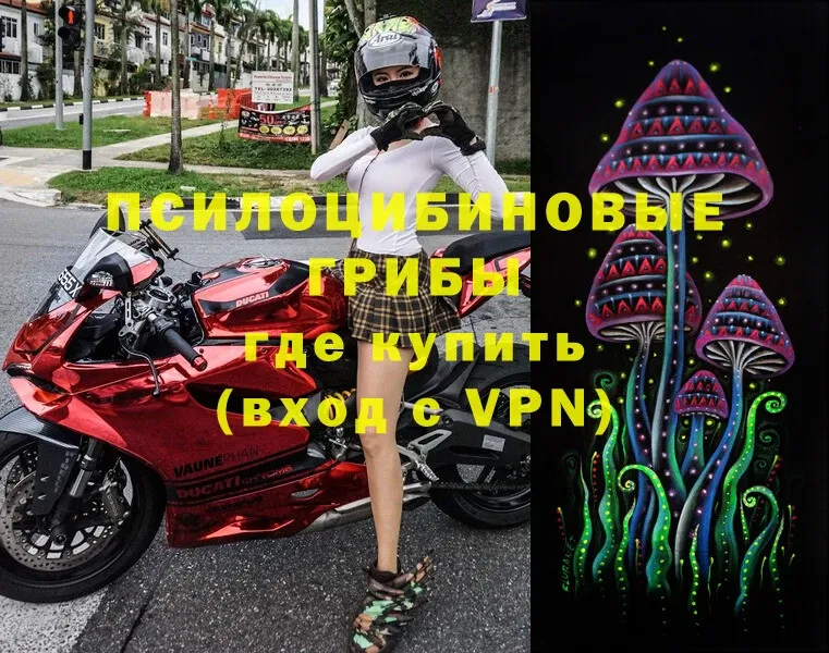 Галлюциногенные грибы Psilocybine cubensis  darknet Telegram  Миньяр 